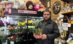 Niğde’de sukulent ve kaktüsler ofislerin gözdesi