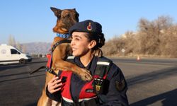 JAKEM'de görev köpekleri zorlu görevlere hazırlanıyor