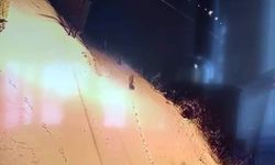 Aç kalan kurt sürüsü şehir merkezine indi