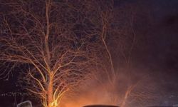 Kontrolden çıkan otomobil önce ağaca çarptı sonra alev aldı