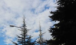 Niğde’yi kar ve dondurucu soğuk bekliyor