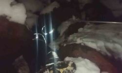 Ölümü bekleyen yavru köpekleri itfaiye kurtardı