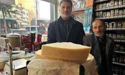 Deri tulum peyniri Niğde’de geleneksel yöntemlerle yaşatılıyor