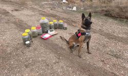 Uyuş *turucu operasyonu: 1 gözaltı