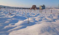 Kar yağışı çiftçiye umut oldu