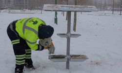 Sokak hayvanları unutulmadı