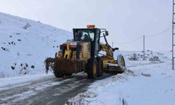 126 yerleşim yerinin yolu ulaşıma kapalı