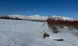 Niğde’de kar çiftçinin yüzünü güldürdü