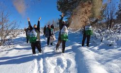 Ulukışla’da 150 hektarlık alanda sedir tohumu ekildi