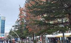 Niğde’de kuvvetli rüzgâr ve fırtına uyarısı