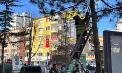 Niğde’de MOBESE kameralarının görüş açısı açıldı