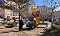 Niğde’de kış ortasında sonbahar havası