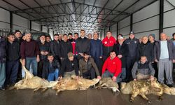 Çamardı'da “Şükür Kurbanı” etkinliği düzenlendi