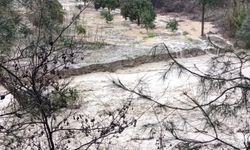 Kuzey ilçelerinde sağanak taşkınlara neden oldu