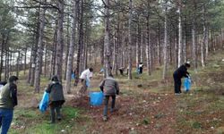 Orman yangınlarına karşı örnek çalışma