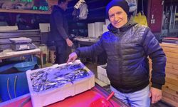 Bu sezon balık tezgahlarının gözdesi sardalya oldu