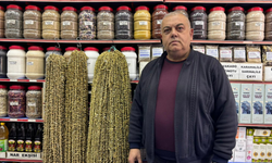 Niğde’de kuru bamya fiyatları 3 bin liraya dayandı