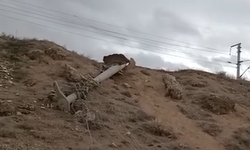 Bor’da elektrik direği devrildi