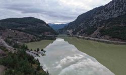 Yükselen su seviyesi yüz güldürüyor