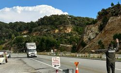 Orman suçlarına eş zamanlı denetim