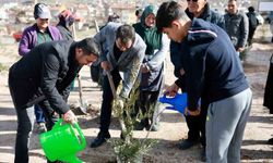 Binlerce fidan toprakla buluştu