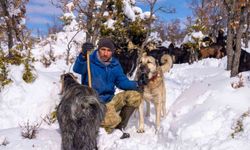 Öldürülen köpeğine otopsi yaptırdı, sorumluların bulunmasını istiyor