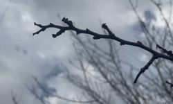 Yoğun kar yağışları çiftçinin yüzünü güldürdü