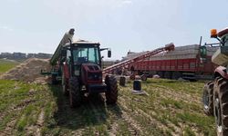 Silahla oynayan kişi kazara kendini vurdu