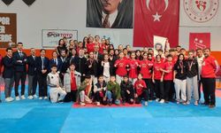 Niğde’de genç taekwondocular grup bileti aldı
