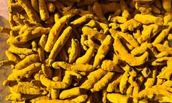 Niğde’de altın renkli şifa