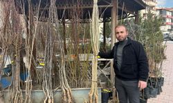 Havaların ısınması Niğde’de fidan satışlarını arttı
