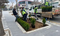 Niğde Cumhuriyet Meydanı’nda ağaçlandırma çalışması