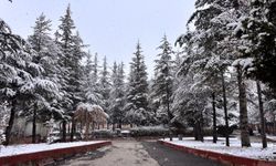 Niğde güne karla uyandı