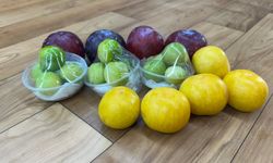 Niğde’de eriğin fiyatını duyan şok oluyor