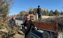 Altunhisar’da ağaç budama çalışmaları başladı