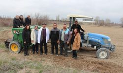 Niğde’de kadınlardan çörek otu ekimi