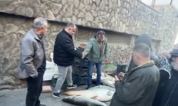 Kurban pazarlığını aratmayan görüntü