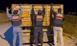 Kaçak makaron operasyonu: 1 tutuklama