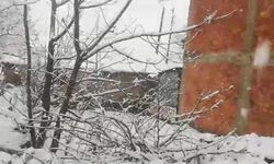 Mart ayında kar sürprizi