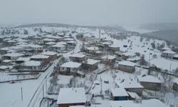 Mart ayında kış geri döndü