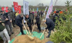 2 yıl önce yanan 80 hektarlık alan ağaçlandırıldı