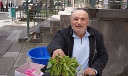 Bedava büyüyor, Niğde'de tezgahta kapış kapış gidiyor