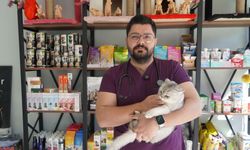 Niğde’de havalar ısındı, hayvan sahipleri dikkat!