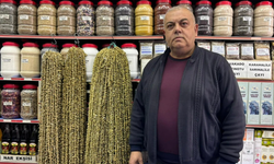 Niğde’de kuru bamyada rekor fiyat