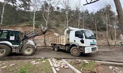 Yaşam alanlarına bahar düzenlemesi