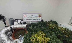 Jandarmadan uyuştu*rucu operasyonu: 1 gözaltı