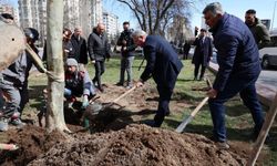 İlkbahar ağaç dikimiyle başladı