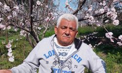 Kayısı ağaçları adeta gelinliğe büründü