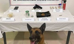 Uy*şturucu operasyonu: 1 şüpheli yakalandı