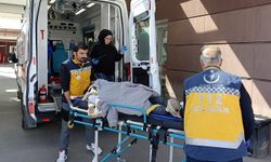 Otomobil reklam direğine çarptı